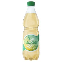 Appenzeller Flauder "iisfee" Bio